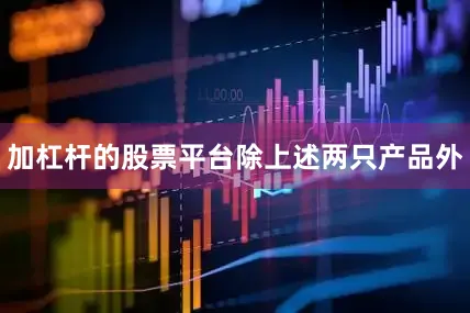 加杠杆的股票平台　　除上述两只产品外
