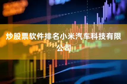 炒股票软件排名小米汽车科技有限公司